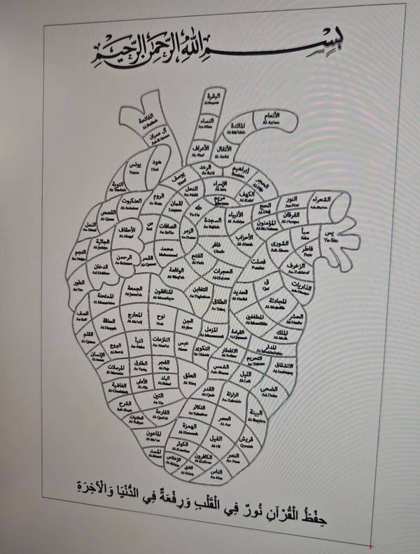 Hifd tracker