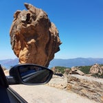 20190627_135152.jpg