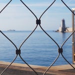 20190623_084226.jpg