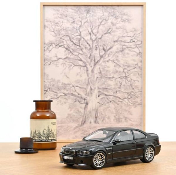 BMW M3 CSI