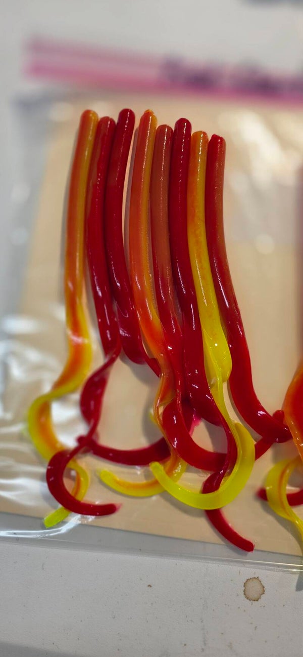 Smooth Body Ribbon Worm