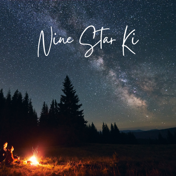 Nine Star Ki - blauwdruk