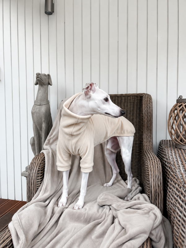 THE EARTH COLLECTION - IVORY - Pullover aus Polarfleece oder Baumwolljersey