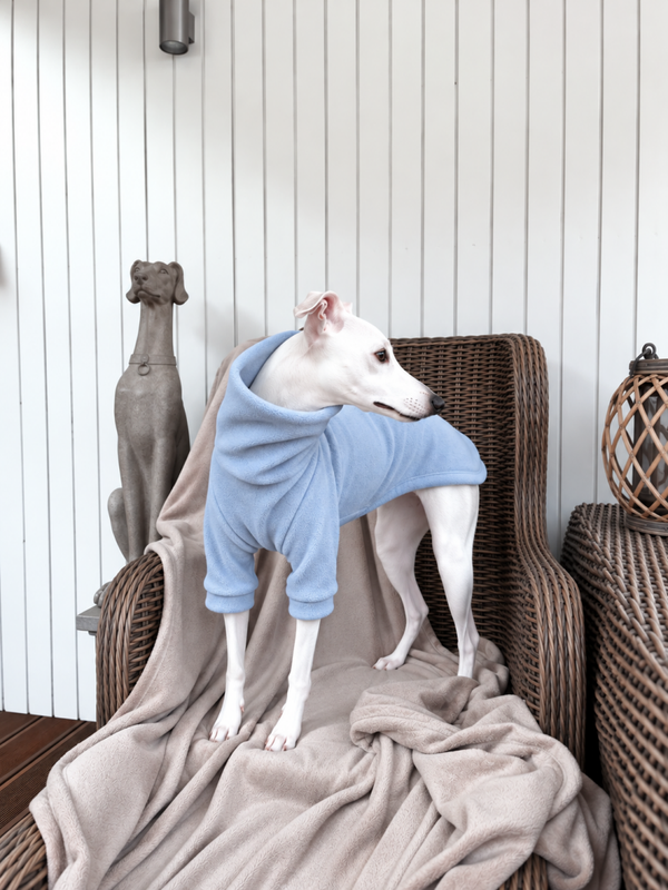 THE AURA COLLECTION - POWDER BLUE - Pullover aus Polarfleece oder Baumwolljersey