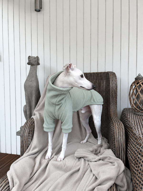 THE AURA COLLECTION - PISTACHIO - Pullover aus Polarfleece oder Baumwolljersey