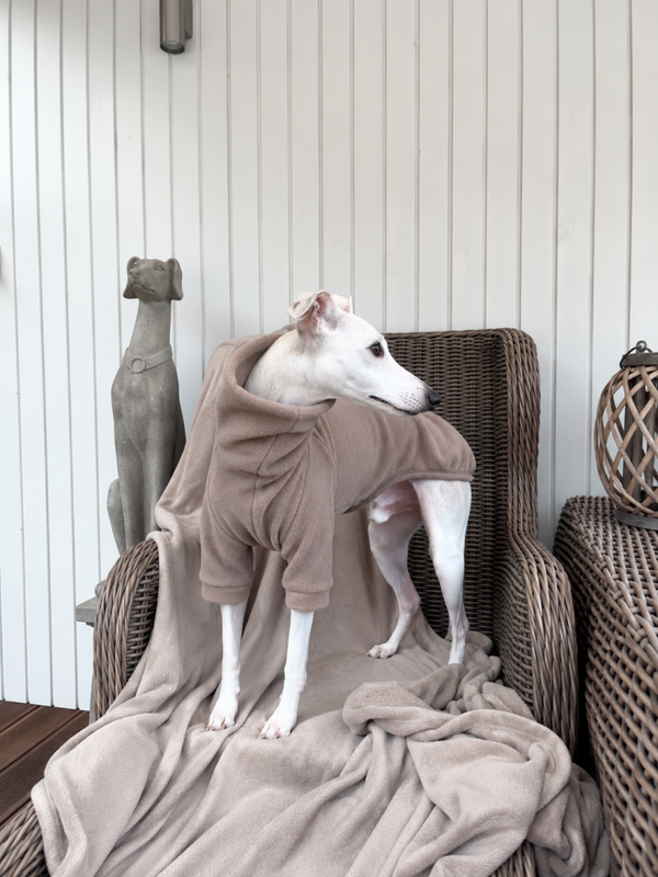 THE EARTH COLLECTION - TRUFFLE - Pullover aus Polarfleece oder Baumwolljersey