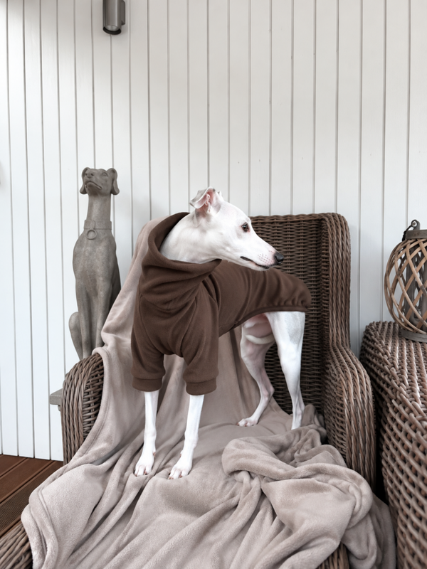 THE EARTH COLLECTION - MOCCA - Pullover aus Polarfleece oder Baumwolljersey