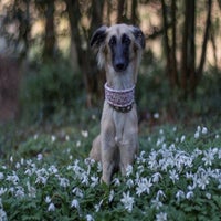 img_8607-standard.jpg