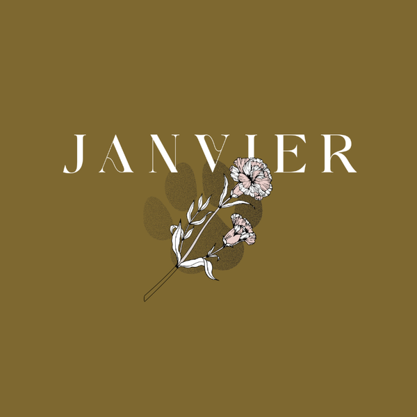 Transfert - Patte de naissance Janvier
