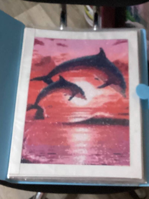 2 dolphins