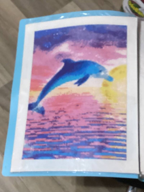 Dolphin