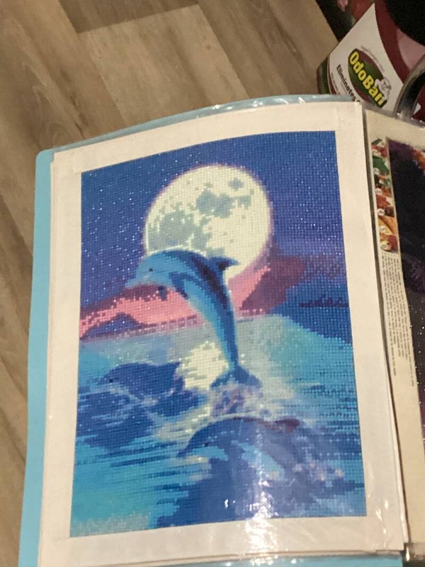 Dolphin moon