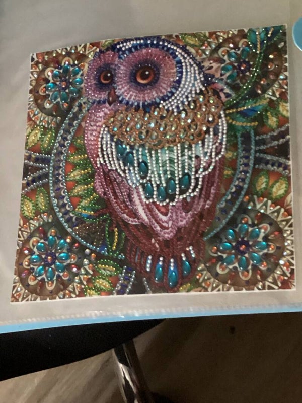 Owl