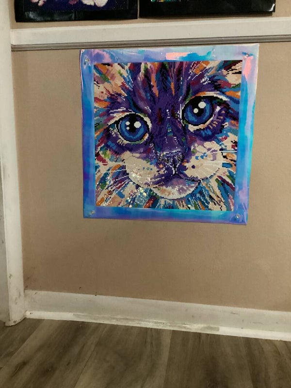 Abstract Cat