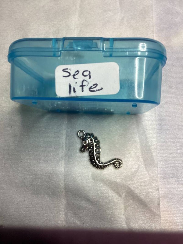 Sea life5 Sea Horse