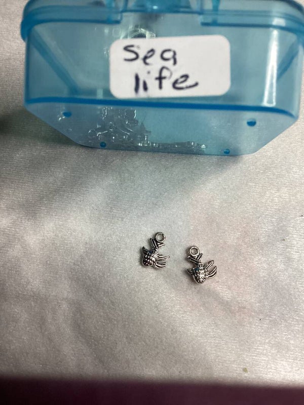 Sea Life Fish