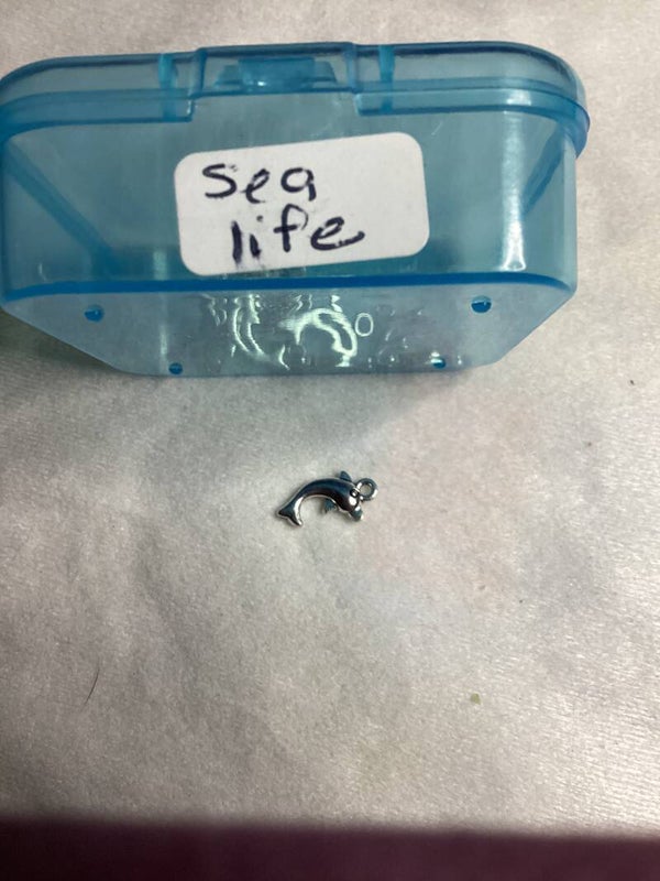 Sea Life Dolphin