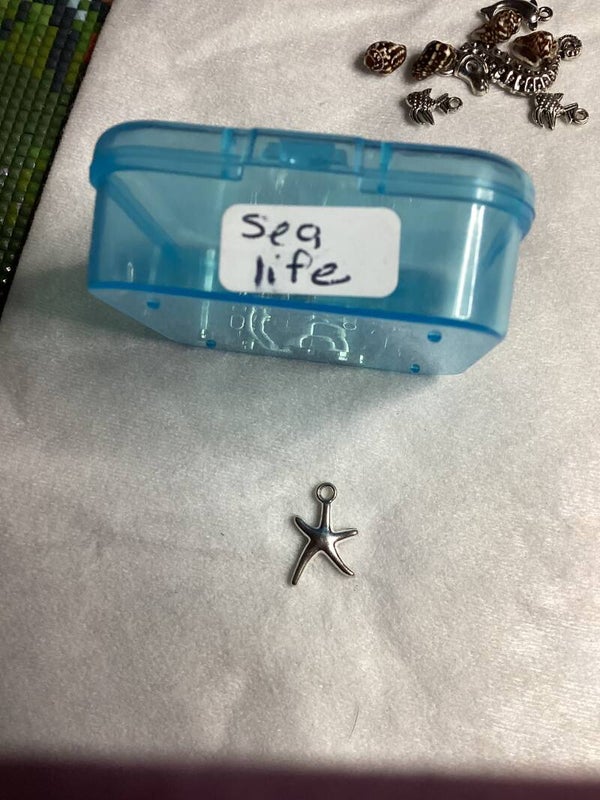 Sea Life Starfish1