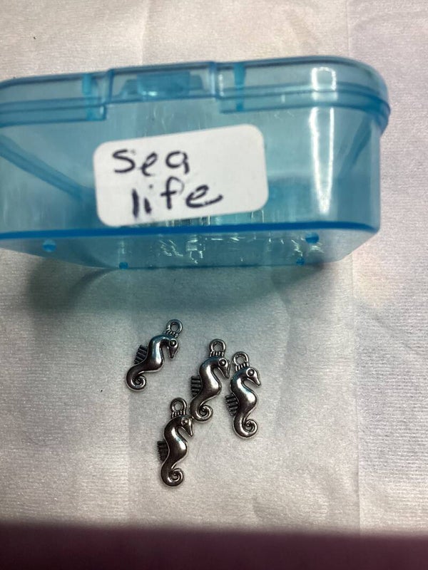 Sea Life Small Sea Horse