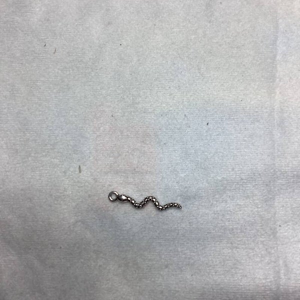 Snake