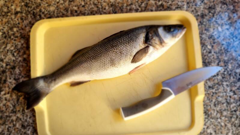 Brancin na žaru - recept Kulinastično