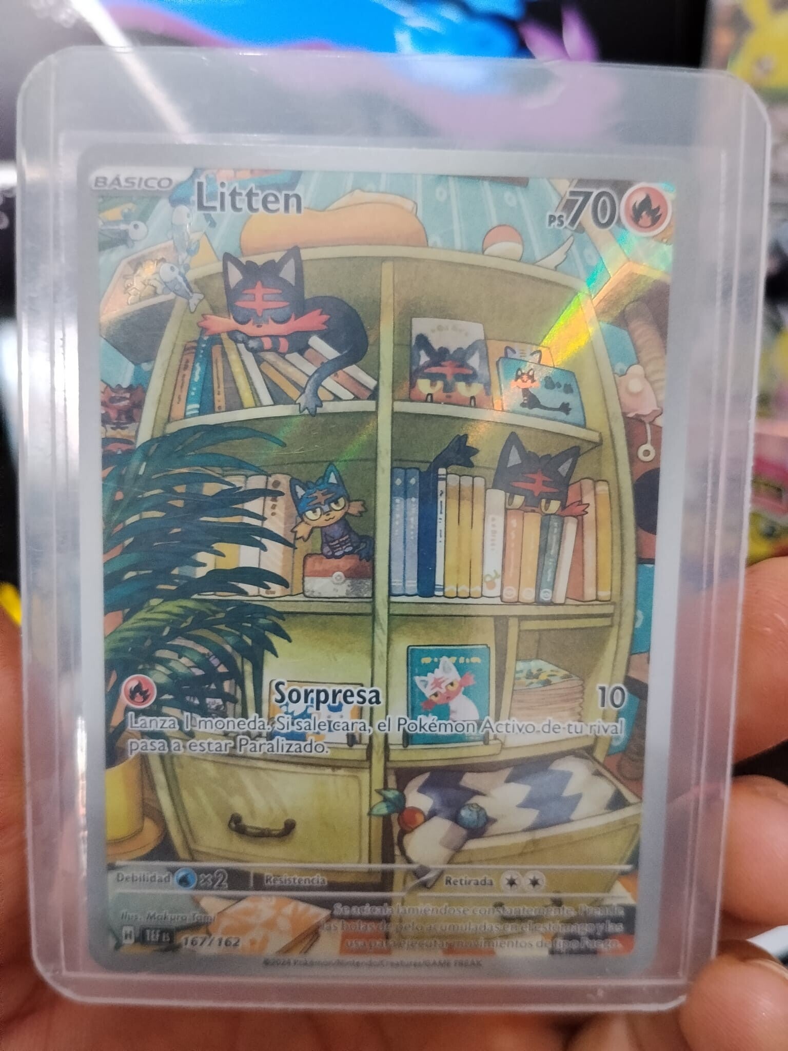 Litten (TEF 167)    Es