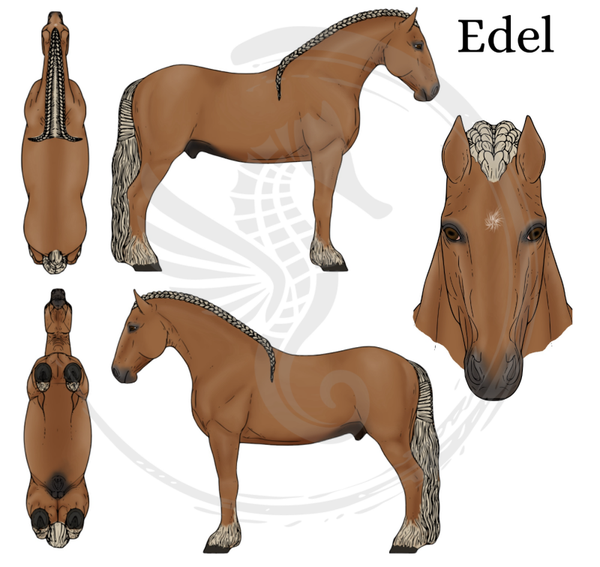 PO // Edel - Flaxen Chestnut