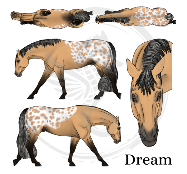 PO // Dream (wild mane) - Buckskin Spotted Blanket