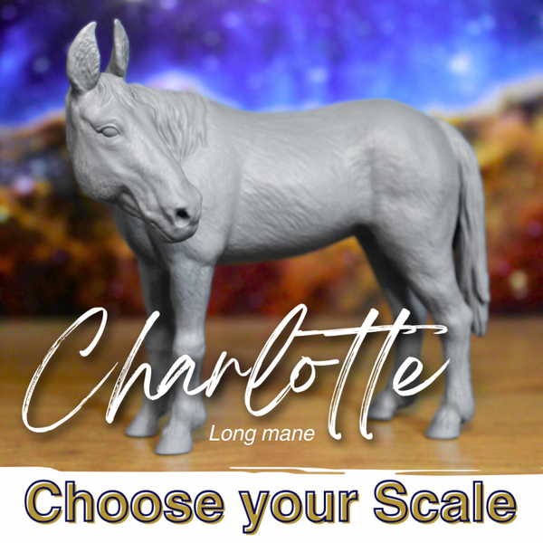 Charlotte - Mule Mare (Long Mane)
