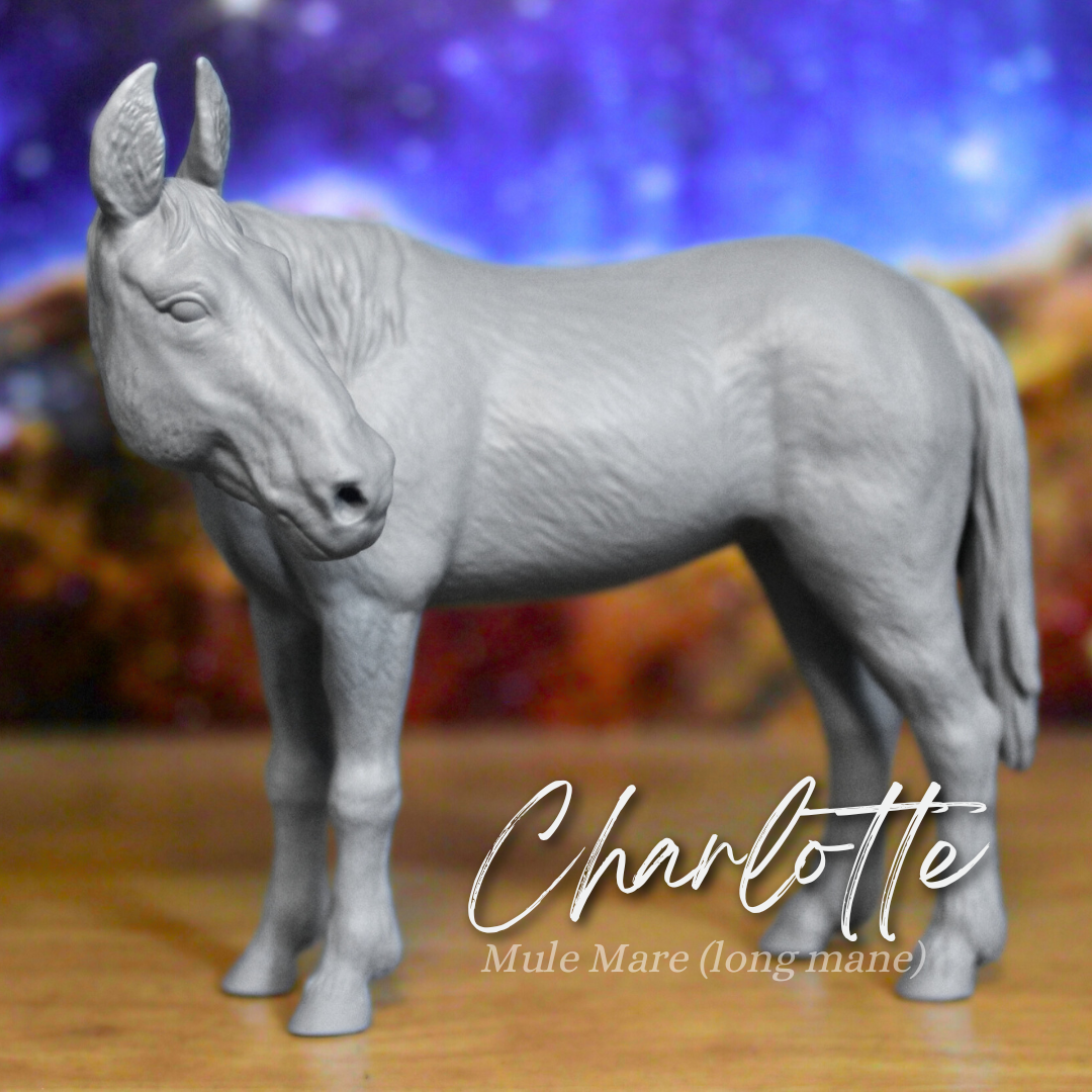 Charlotte - Mule Mare (Long Mane)
