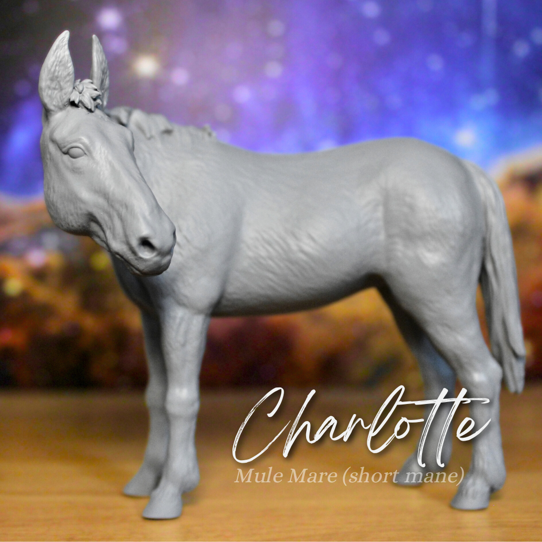 Charlotte - Mule Mare (Mid Mane)