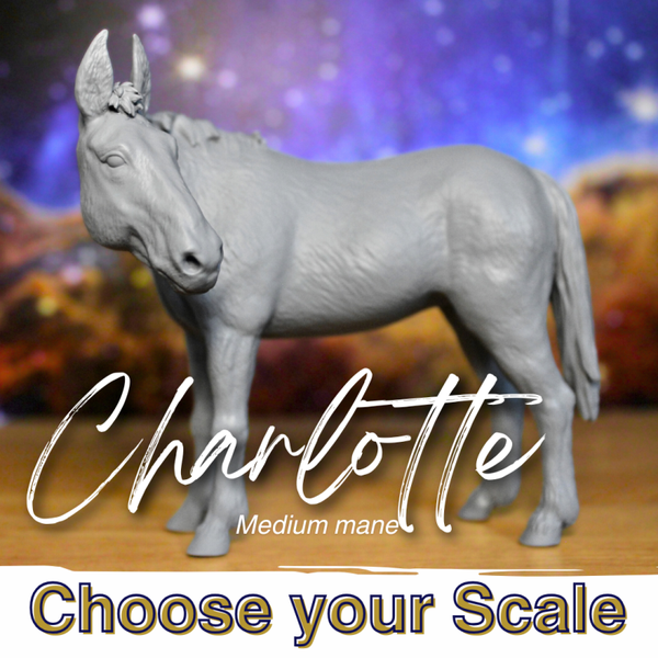 Charlotte - Mule Mare (Mid Mane)