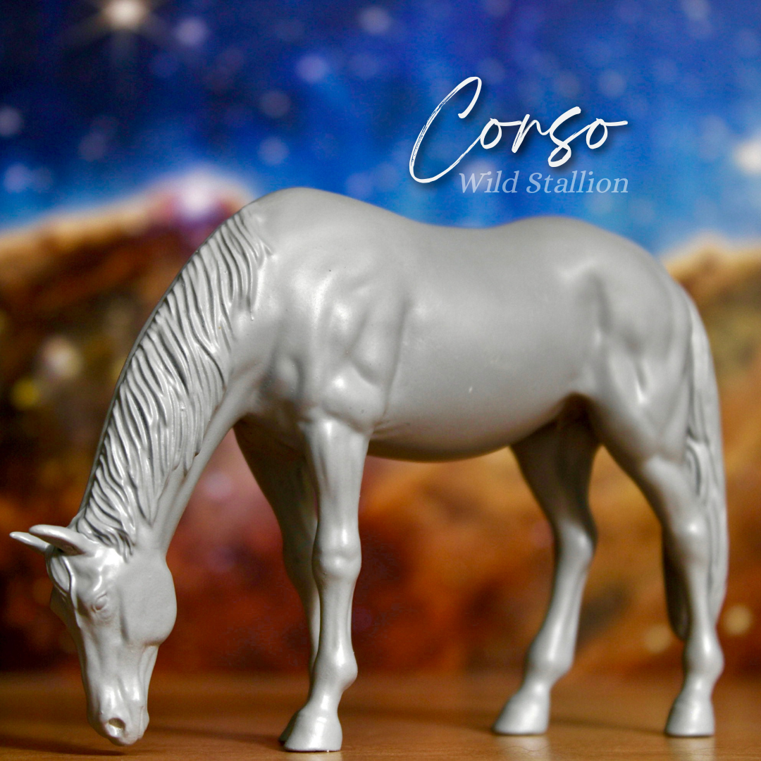 Corso - Wild Stallion