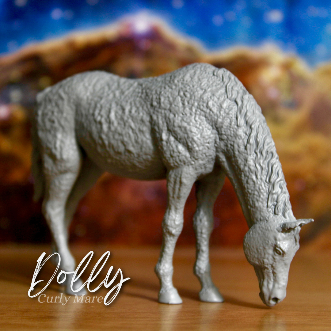 Dolly - Curly Mare