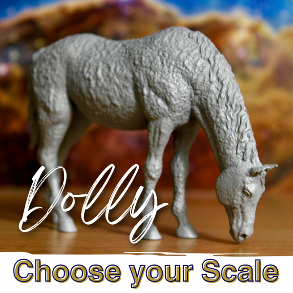 Dolly - Curly Mare