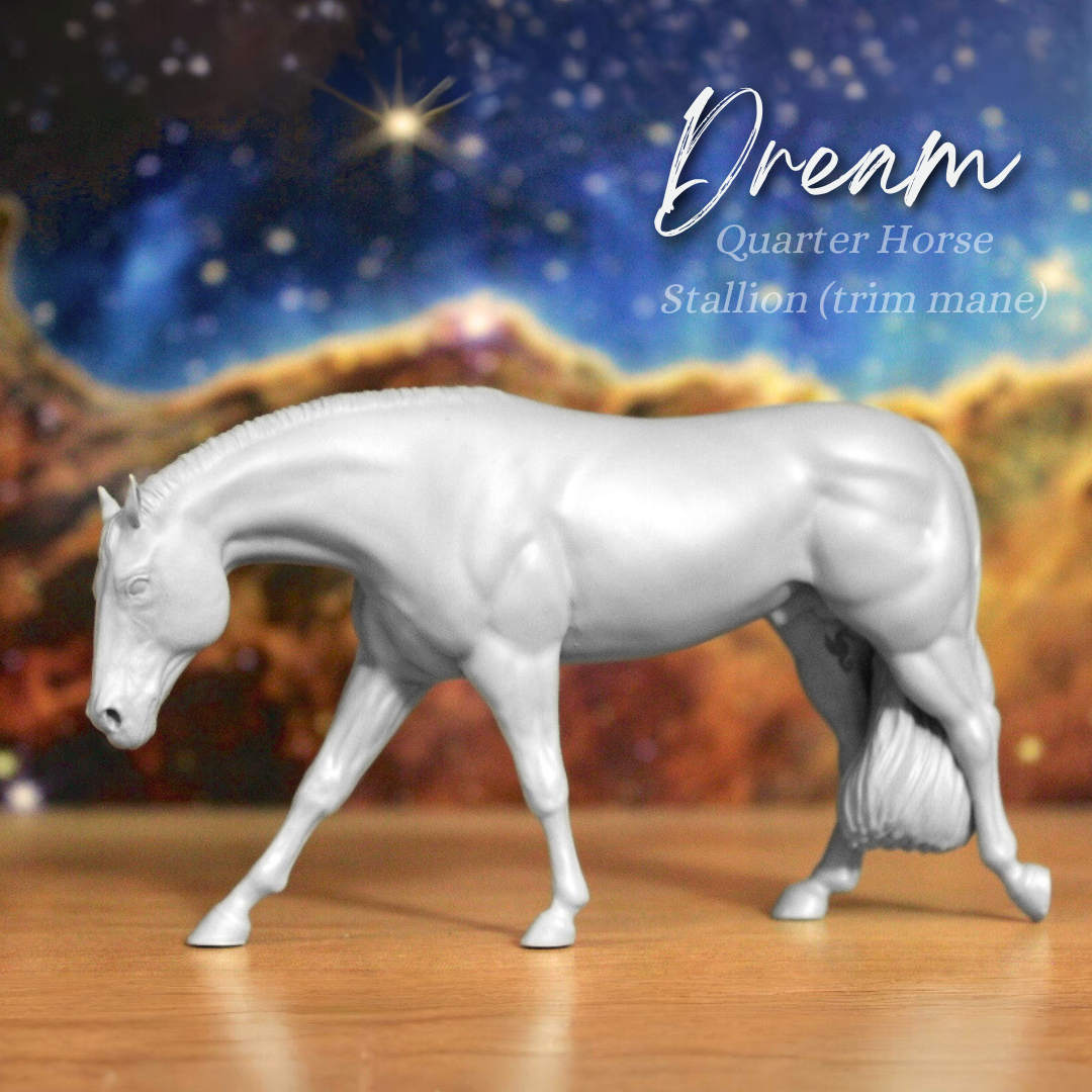 Dream (Trim Mane) - Quarter Horse Stallion