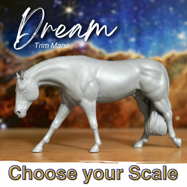 Dream (Trim Mane) - Quarter Horse Stallion