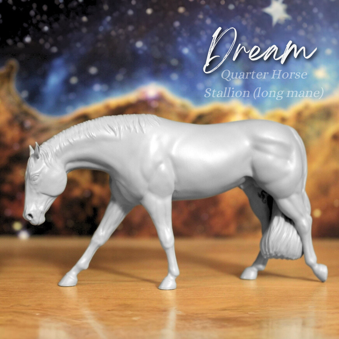 Dream (Wild Mane) - Quarter Horse Stallion