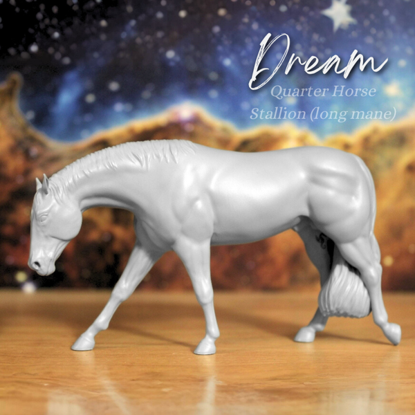 Dream (Wild Mane) - Quarter Horse Stallion