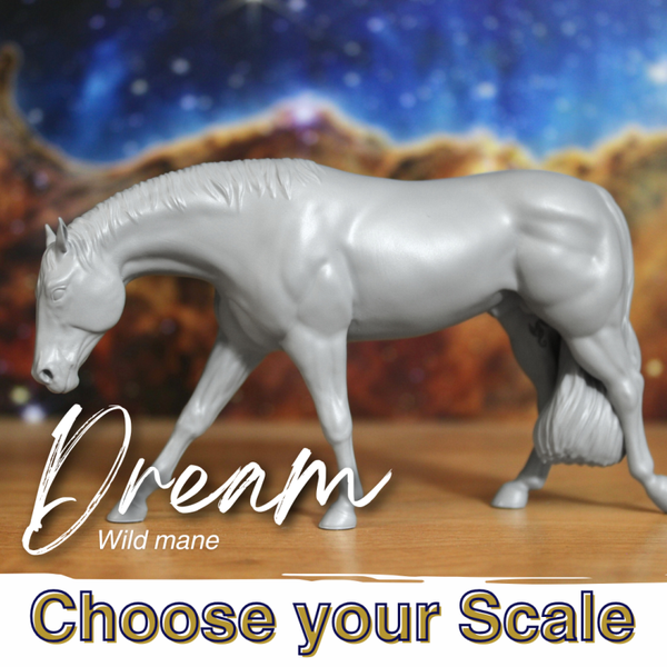 Dream (Wild Mane) - Quarter Horse Stallion