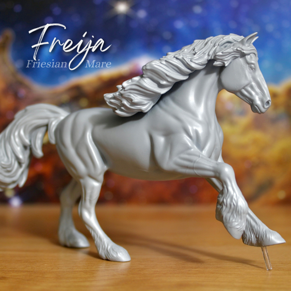 Freija - Friesian Mare