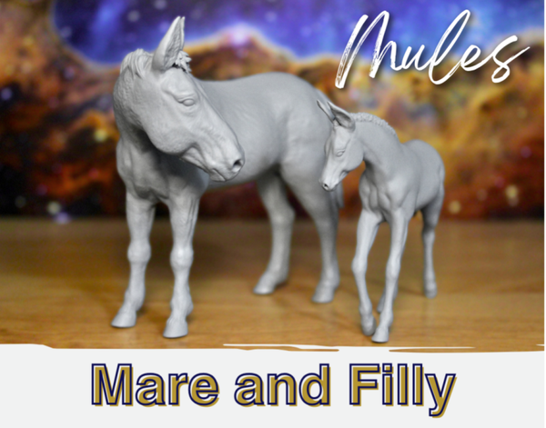 Mules Pack - Charlotte & Miracle