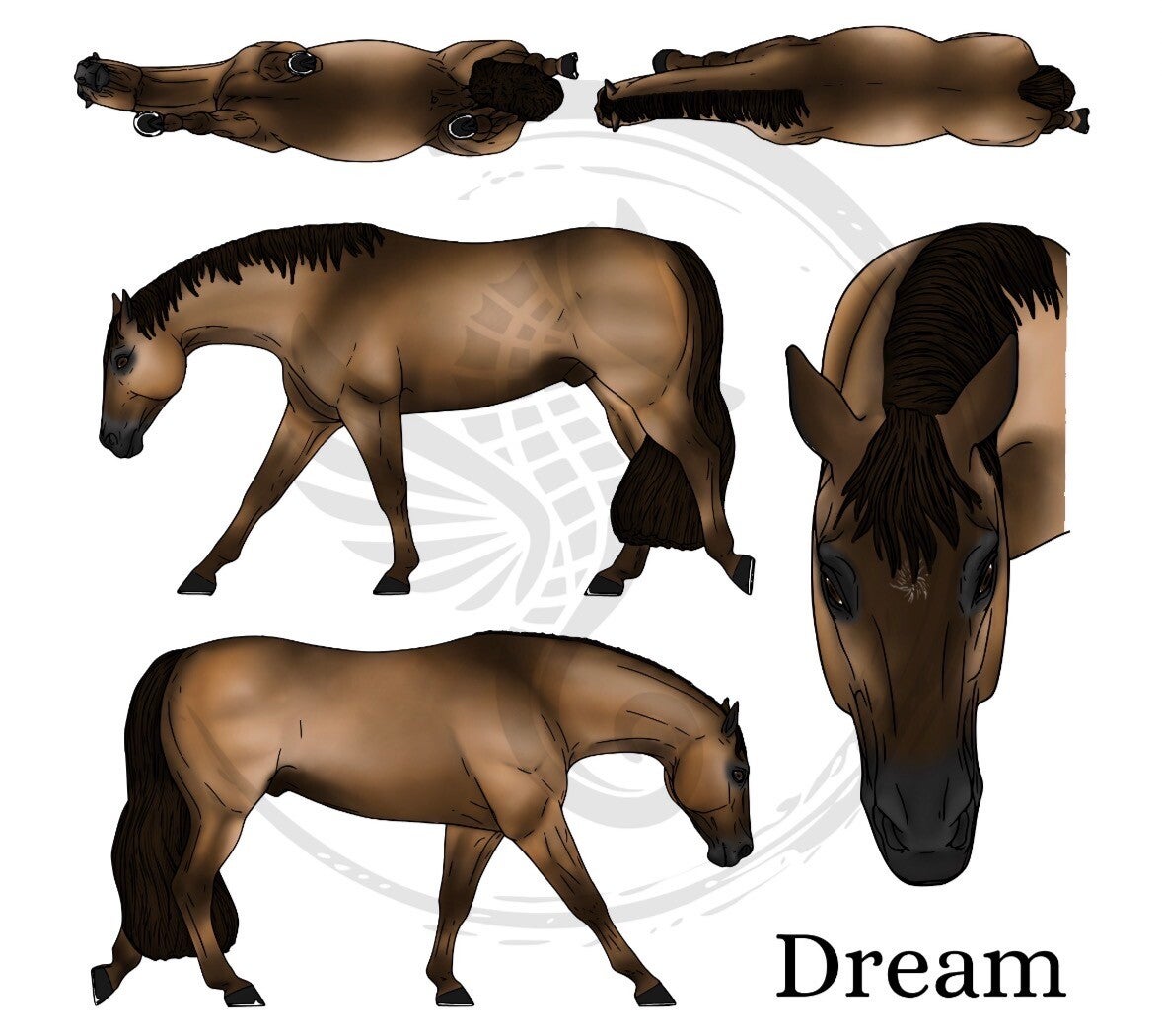 Dream (wild mane) - Sooty Buckskin