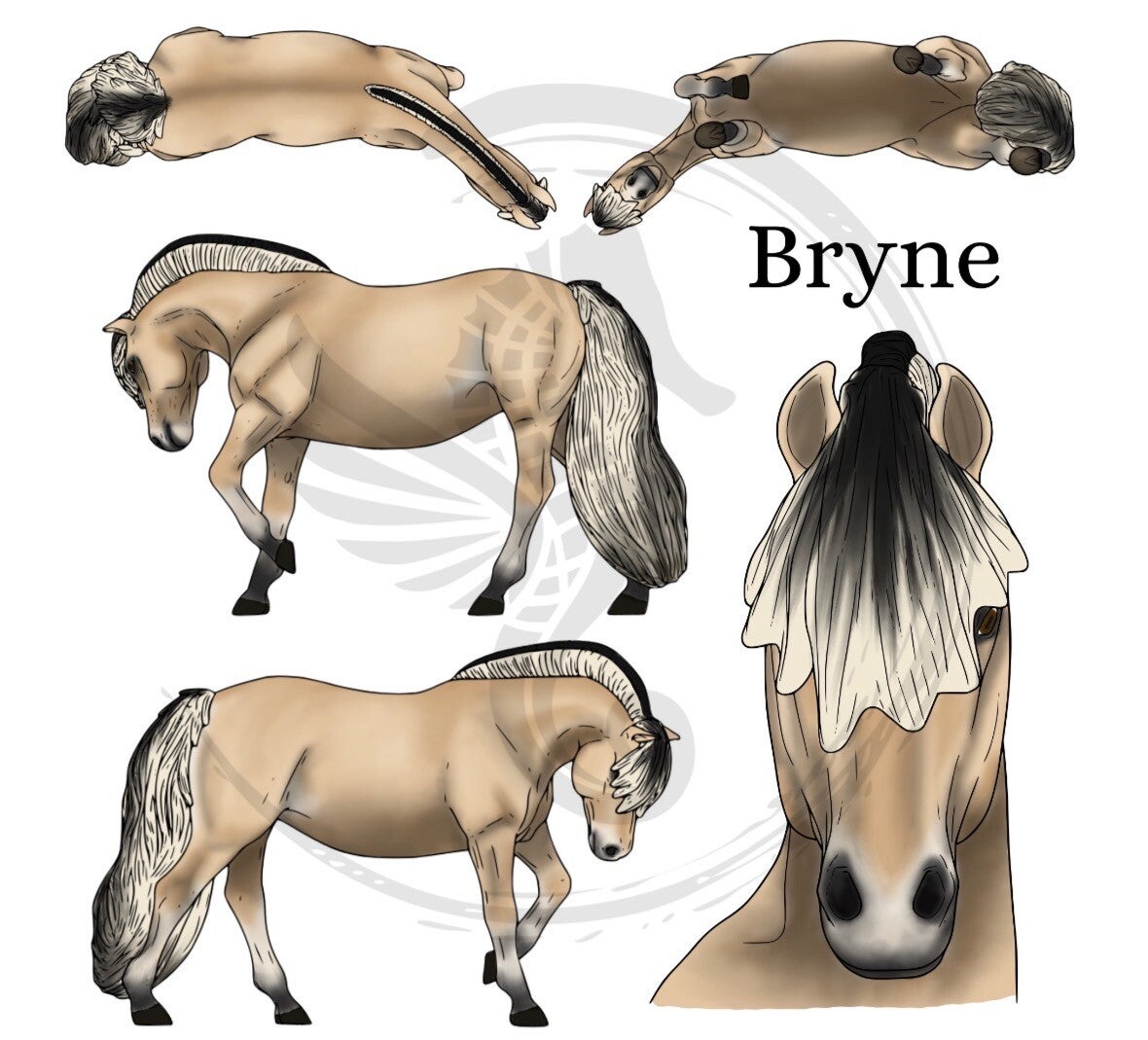 Bryne (trim mane) - Brunblakk