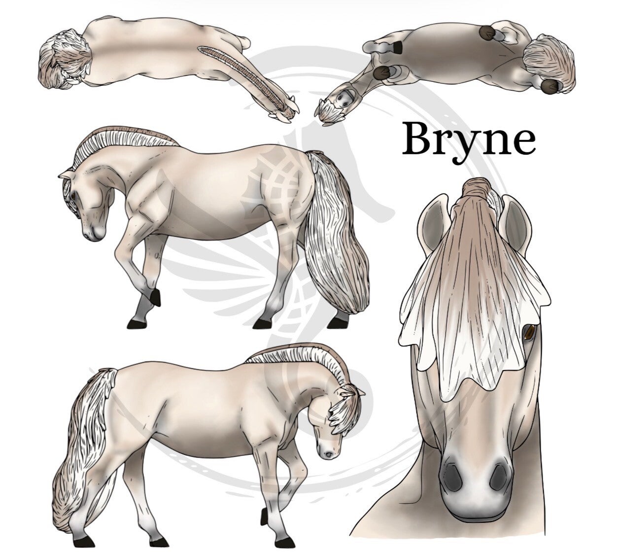 Bryne (trim mane) - Gulblakk