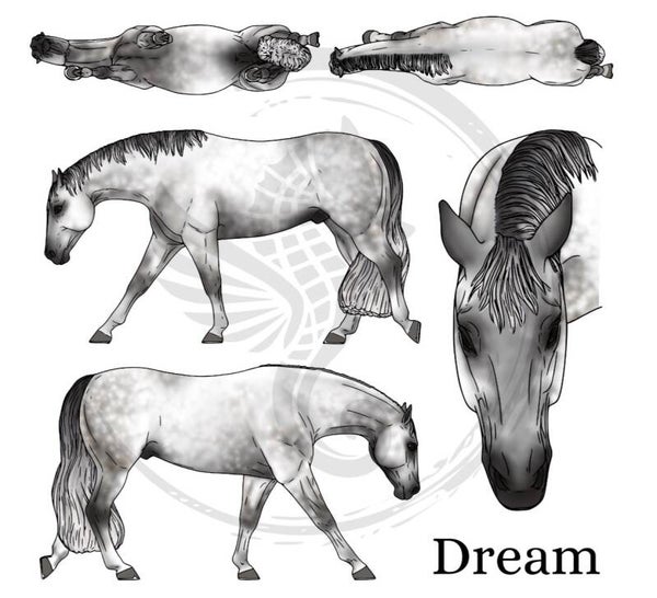 Dream (wild mane) - Dapple Grey