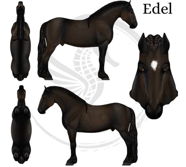 PO // Edel - Dark bay