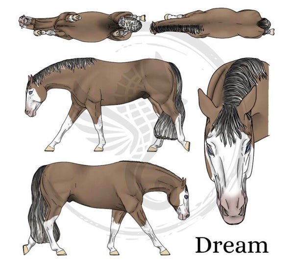 PO // Dream (wild mane) - Champagne Silver