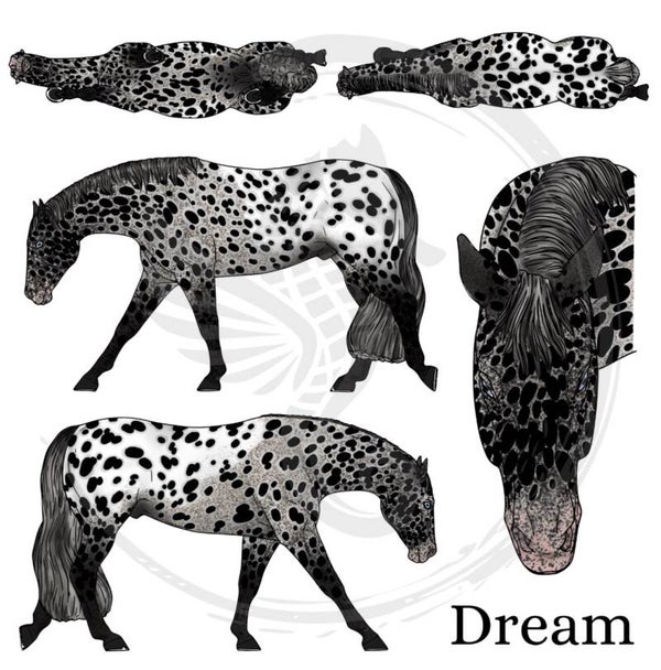 PO // Dream (wild mane) - Black Leopard Blanket