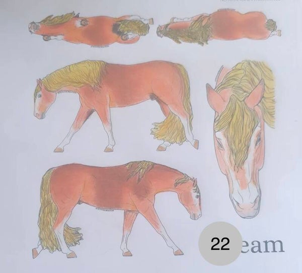 CC22
